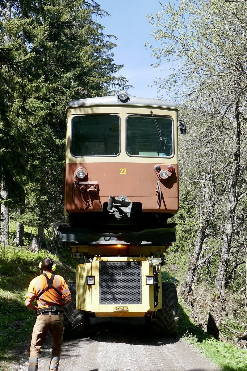 Der Be 4/4 22 unterwegs im Wald am 14.5.24 auf dem Weg nach Lauterbrunnen.