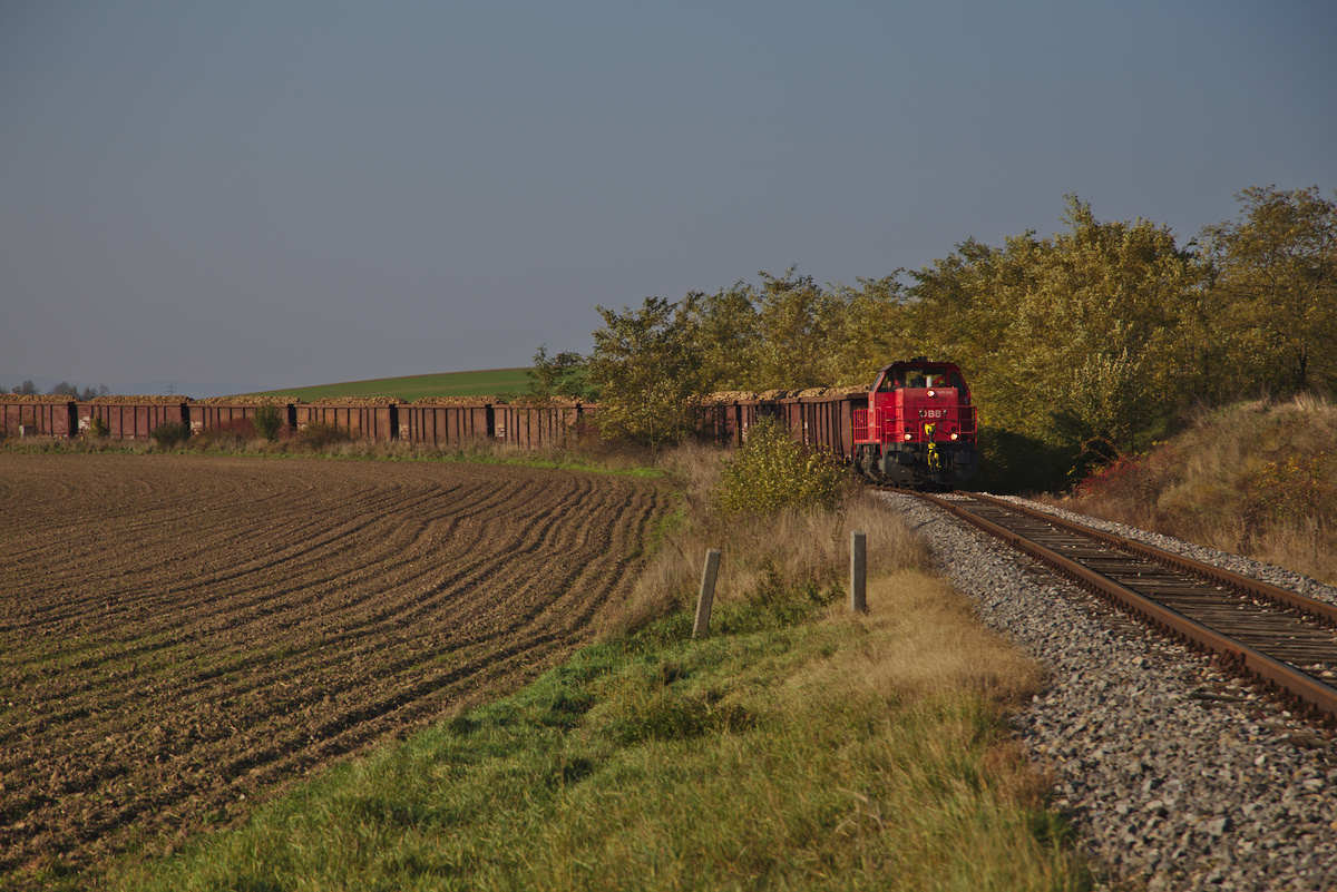 Der bekannte Rübenzug, hier zu sehen im Gleisbogen kurz vor Hauskirchen auf der Fahrt vom Rübenladeplatz bei Paasdorf nach Hohenau. Zuglok war die 2070 048. (31.10.2015)