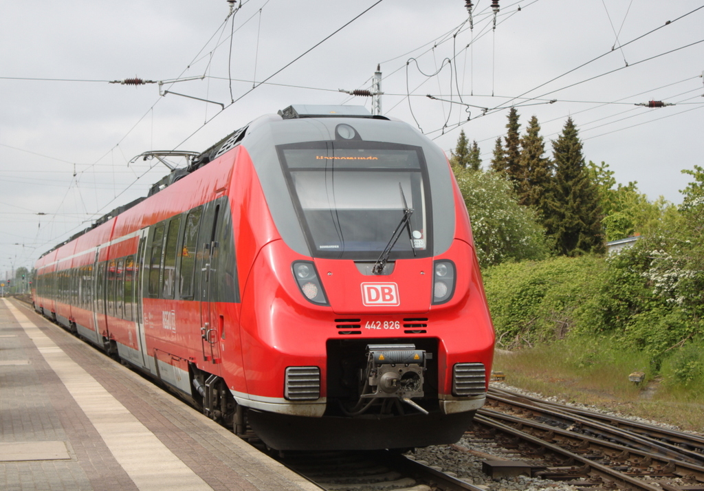 Der Berliner Bouletten Hamster 442 826-4 als S1 von Rostock Hbf nach Warnemünde bei der Ausfahrt in Rostock-Bramow.17.05.2019