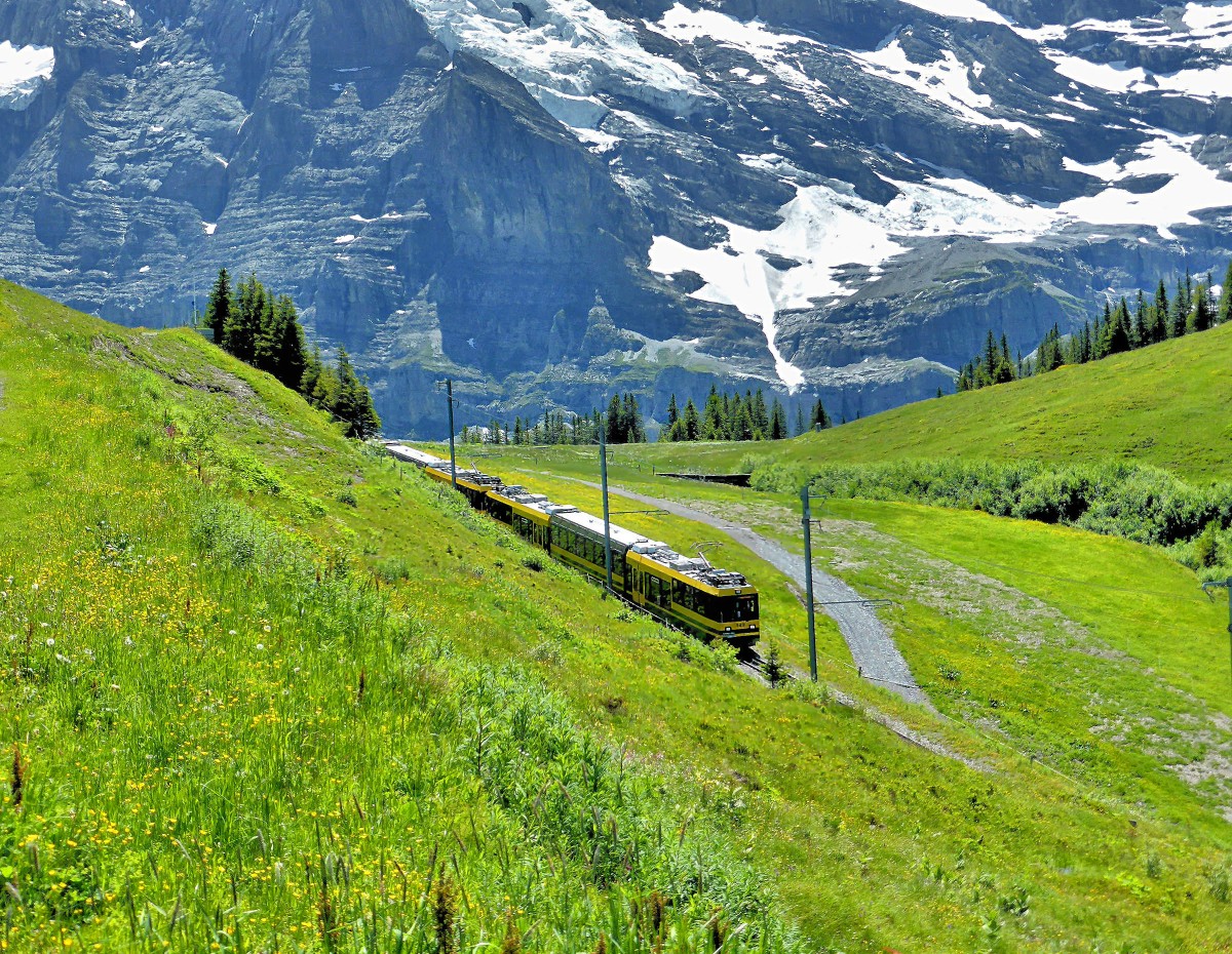 Der bisher neuste Triebwagen der Wengernalpbahn, Wagen 149 (in Doppeltraktion mit 148) unterhalb der Wengernalp, 28.Juni 2015. 