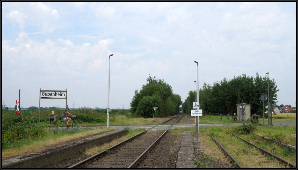 Der Blick auf die Bördebahn bei Bubenheim,unweit von Zylpich ,einst eine zweigleisige Hauptstrecke,nun fast vergessen,da kaum Verkehr.
Momentaufnahme vom 05.Juli 2015.