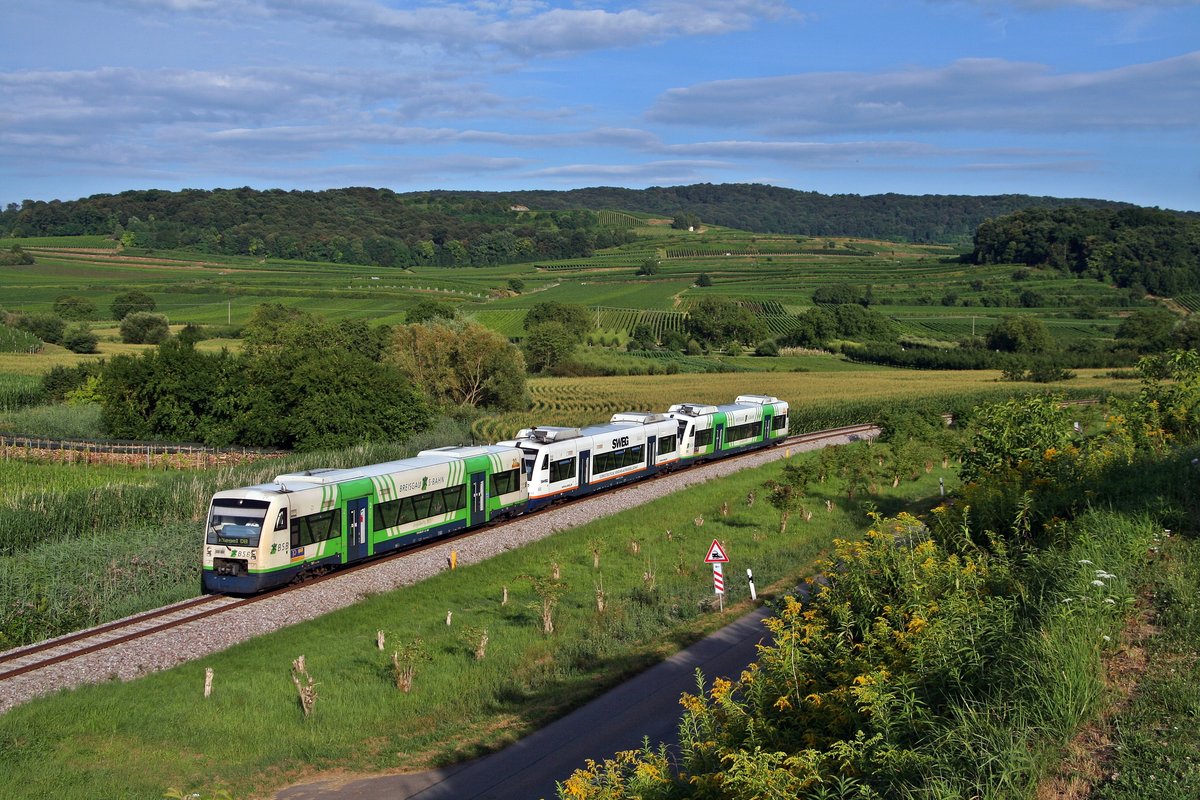 Der BSB-VT 010 war am Nachmittag des 01.08.16 mit dem SWEG-VT 503 und dem BSB-VT 005 von Breisach auf dem Weg nach Riegel DB. Hier konnte die Garnitur kurz vor Jechtingen aufgenommen werden.