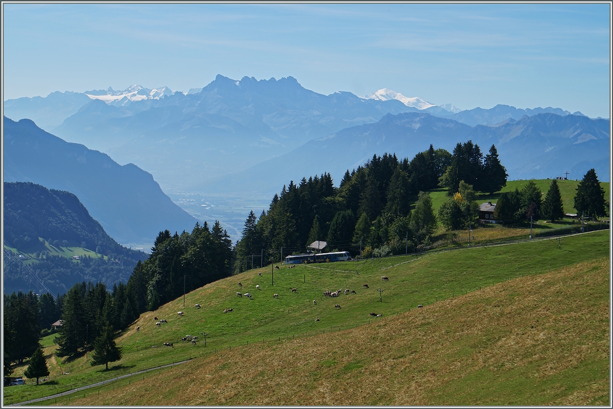 Der  CEV Beh 2/4 71 mit Bt  Train des Etoiles  und vierzig Kühe auf Les Pleiades. 
27. August 2015