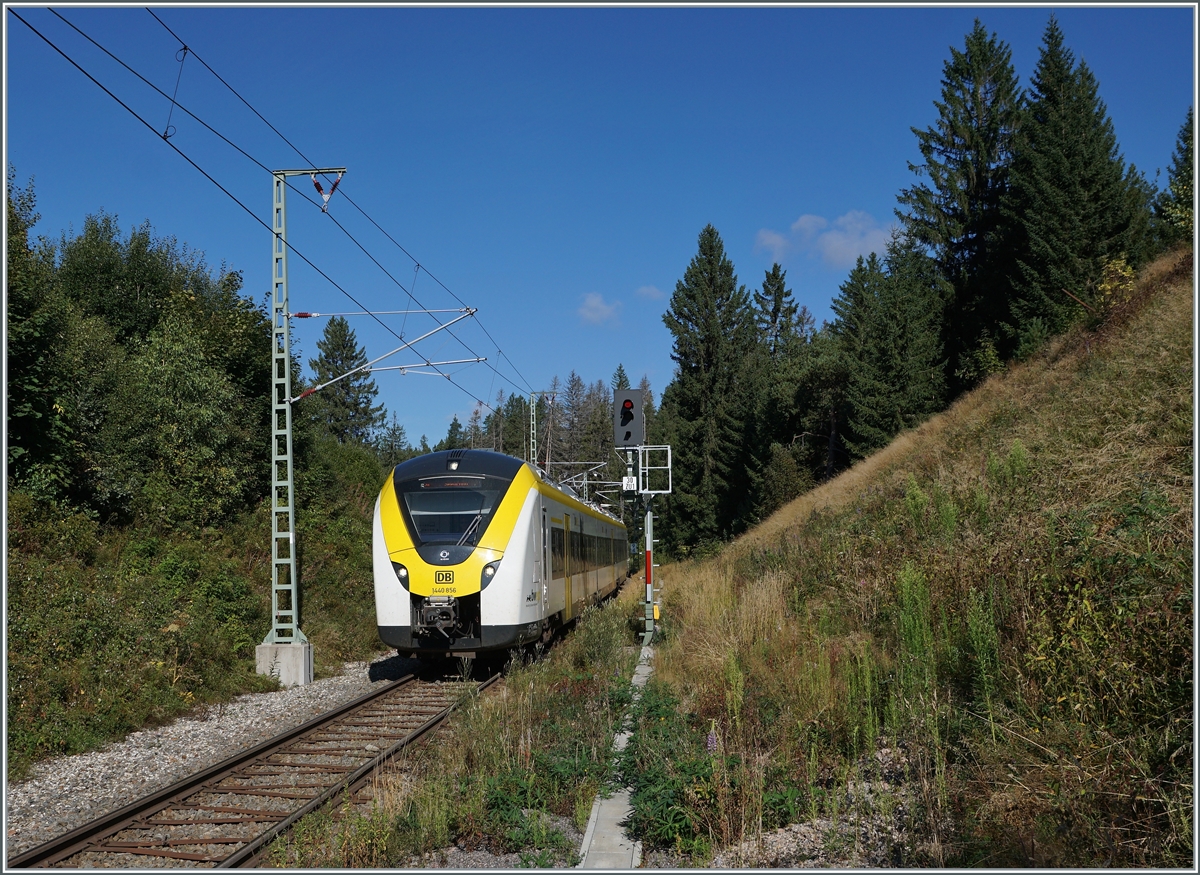 Der DB 1440 856 und ein weiterer sind von Endingen (Baden) nach Seebrugg unterwegs und erreicht die Haltestelle Altgashütten-Falkau, wo ich am Ende des Bahnsteiges dieses Bild gemacht habe. 

12. Sept. 2021