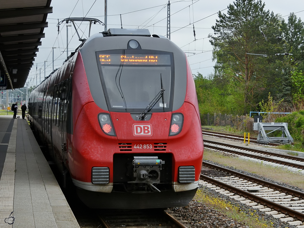 Der DB-Regionaltriebzug 442 853 hält Mitte Mai 2021 am Hauptbahnhof in Neustrelitz.