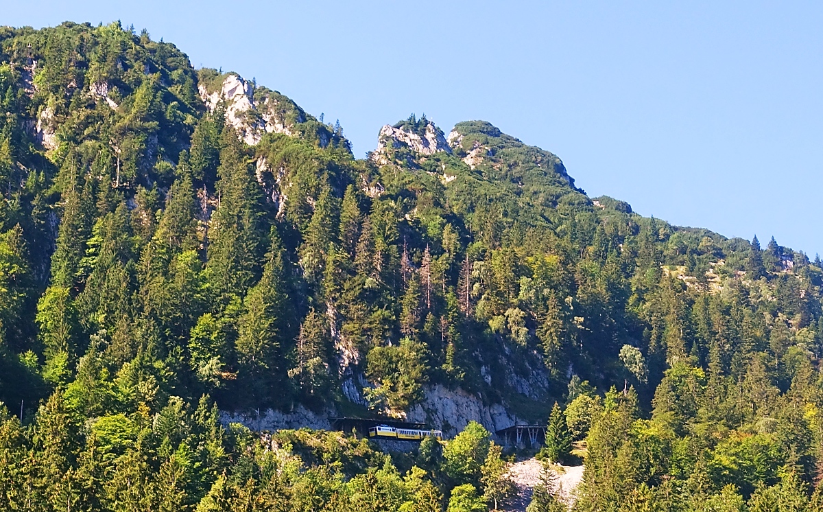 Der dichte Bewuchs und die Steilheit des Geländes lassen nur an wenigen Stellen Möglichkeiten für Aufnahmen der Wendelsteinbahn zu. Hier fährt die neue Lok Nr. 5 am 05.09.2023 zwischen den Haltestellen Mitteralm und Aipl an den Steilwänden des Wendelsteinmassivs entlang hinunter ins Tal (Geoposition ungefähre Angabe).