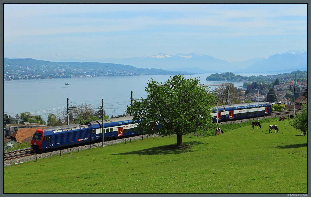 Der DPZ 450 015  Erlenbach  rollt am Ufer des Zürichsees vorbei durch die Wiesen bei Horgen Oberdorf. (29.04.2022)
