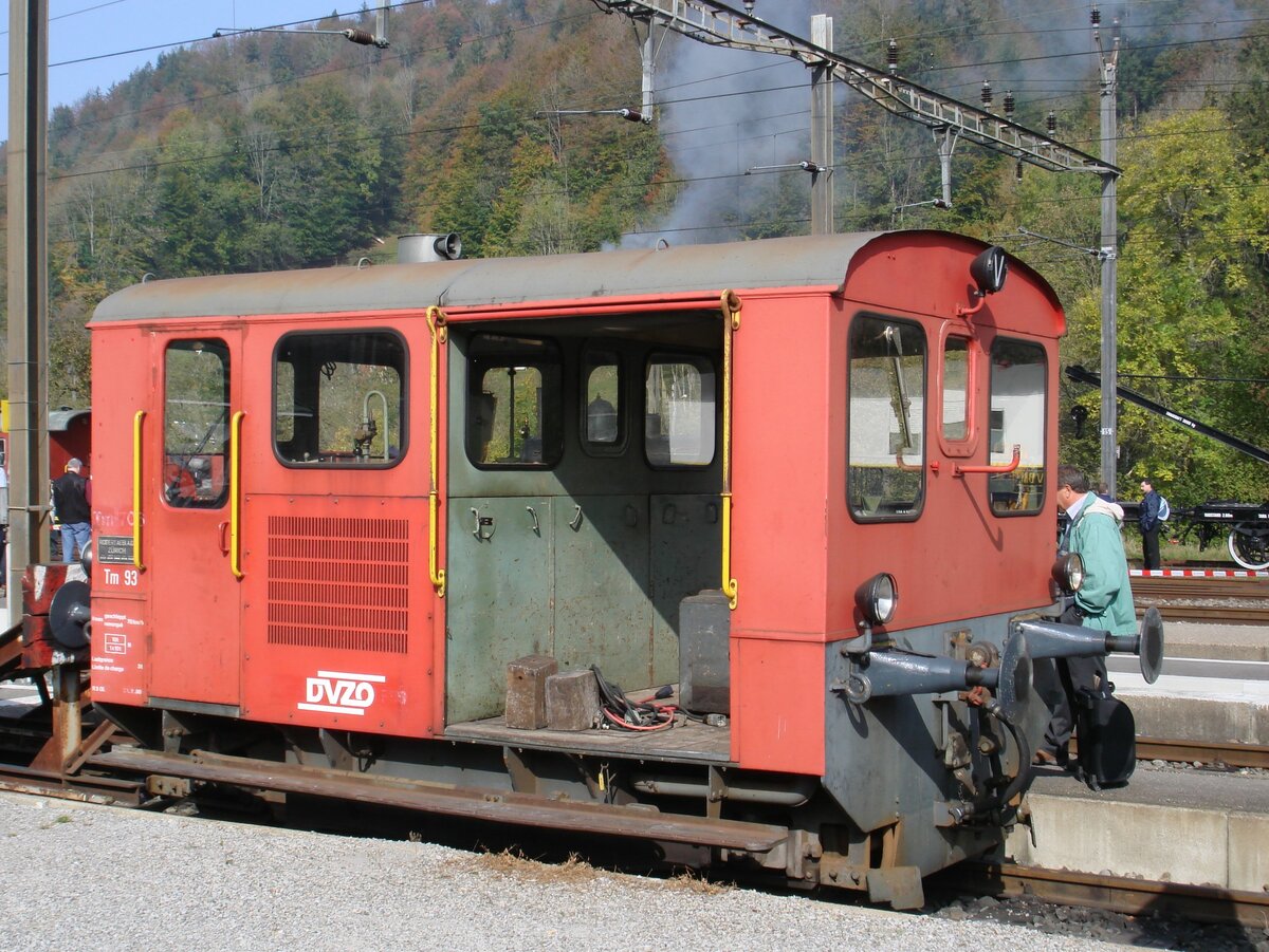 Der DVZO-Tm 93 (ehemals SBB-Tm II 706, Baujahr 1961) steht am 14. Oktober 2007 im Bahnhof Bauma.