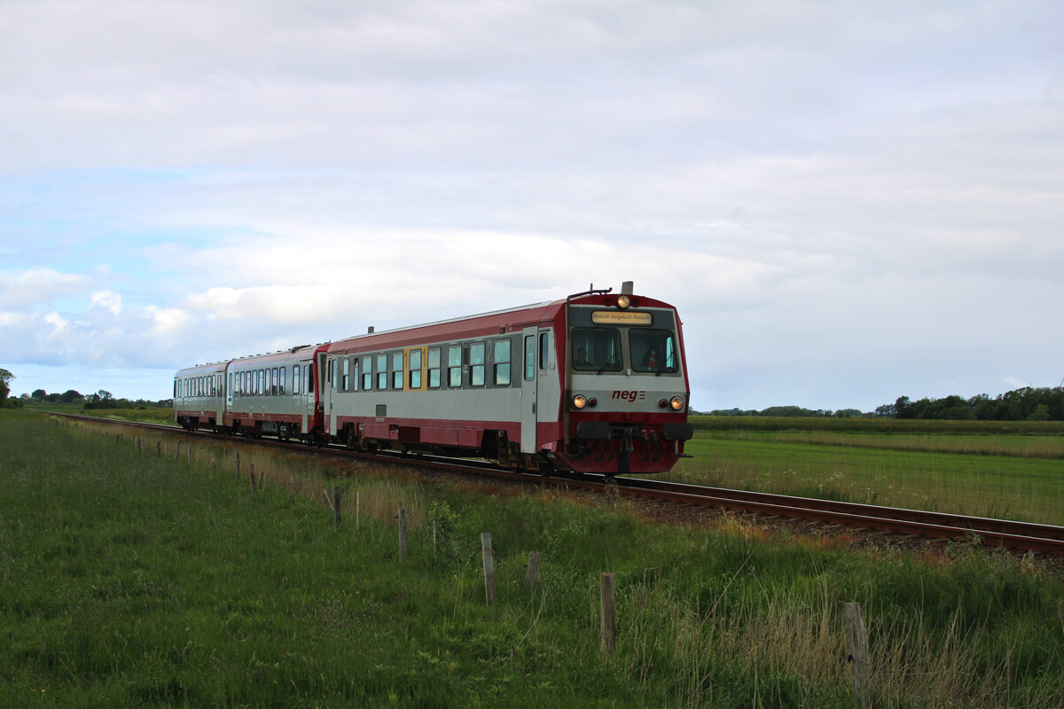 Der ehemalige ÖBB-Triebwagen der Baureihe 5047 (heute T4 der neg mit der Bezeichnung 627 103-4) fährt zusammen mit 628 071-2 von Dagebüll Mole nach Niebüll und erreicht hier in Kürze Maasbüll. (30.05.2022)