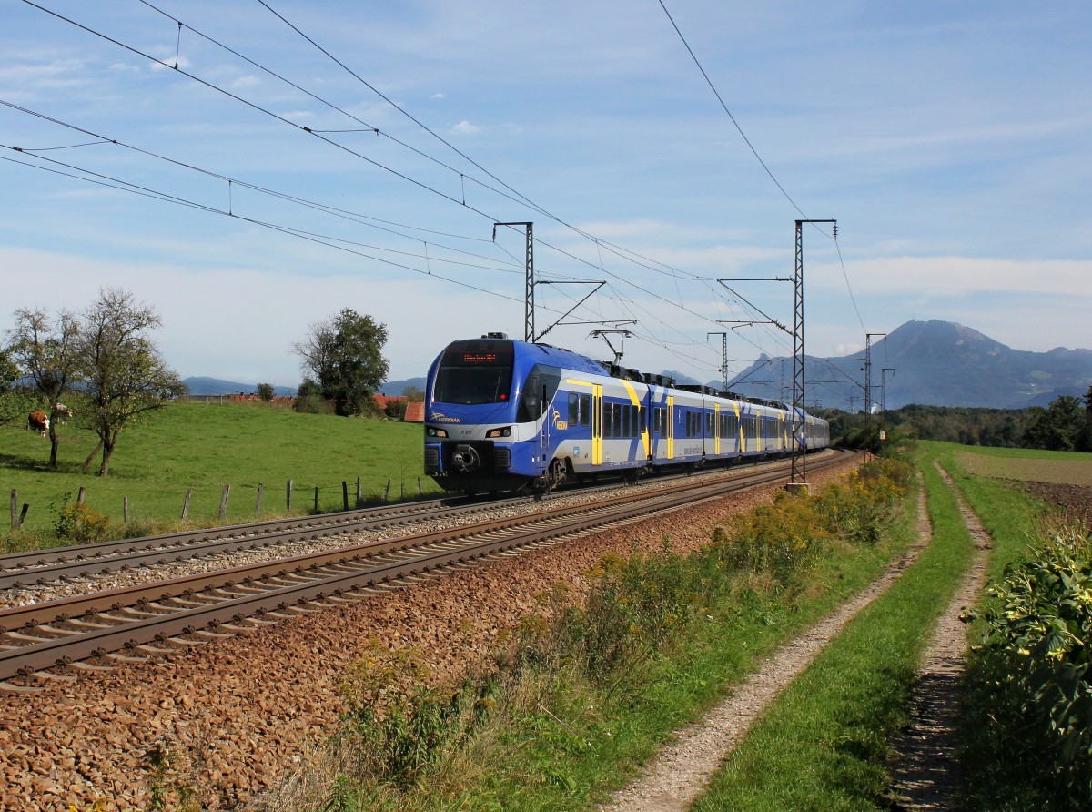 Der ET 315 als M nach München am 19.09.2014 unterwegs bei Straß.