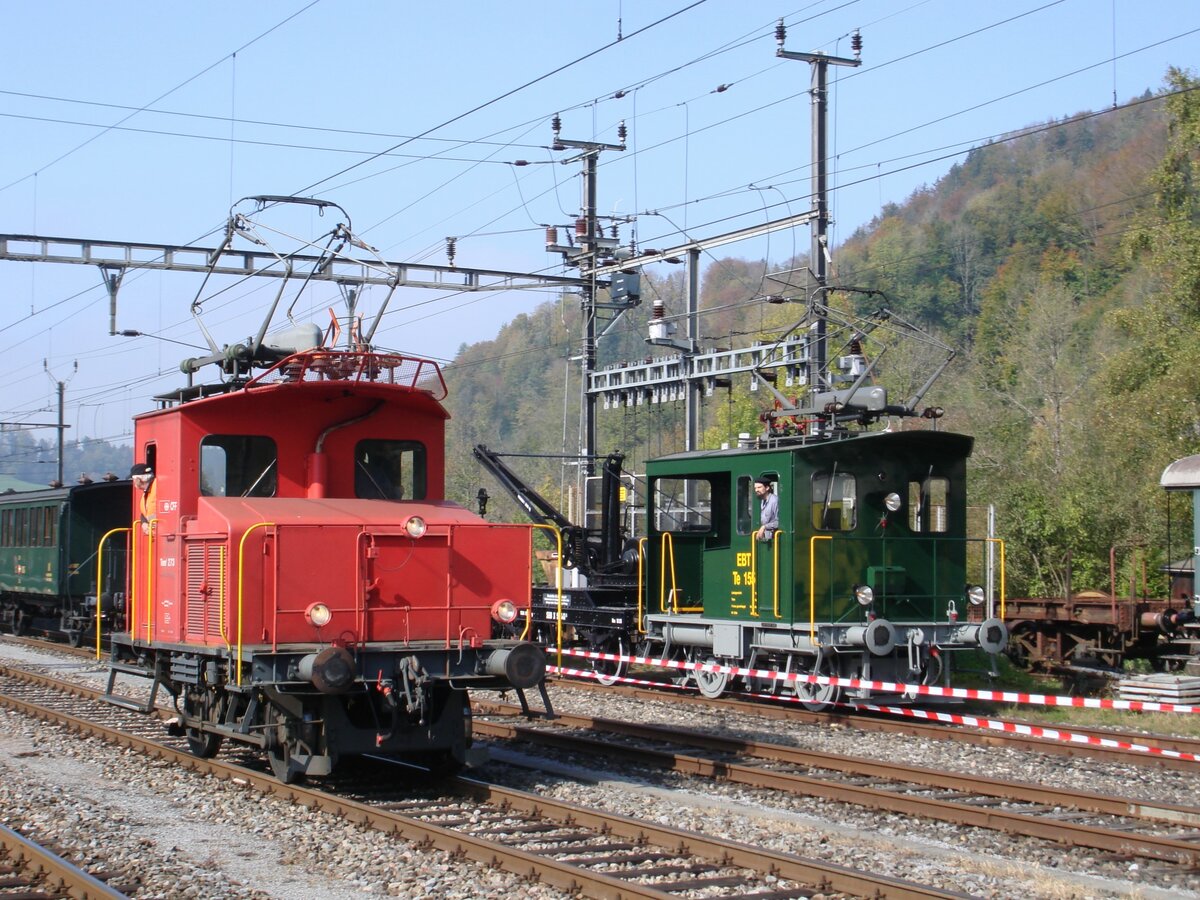 Der Eurovapor-Tem I 273 (ehemals SBB) und der Te I 155 der Dampfbahn Bern (ehemals RM Te 216 325) begegnen sich am 14. Oktober 2007 anlässlich des DVZO-Fahrzeugtreffens in Bauma.