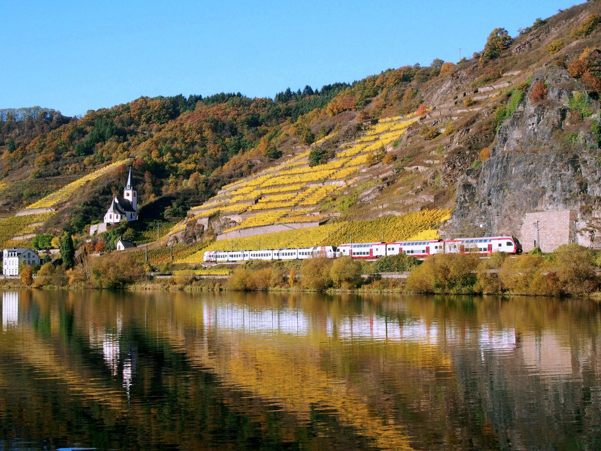 Der Flügelzug DB/SÜWEX-FLIRT (RE 4119) und CFL-KISS (RE 5119) unterwegs in Richtung Koblenz auf Höhe des Hatzenporter Stolzenbergs, eine der besten Weinlagen der Mosel. Das goldene Herbstlaub der Weinberge spiegelt sich zusammen mit der Johanneskirche und dem Flügelzug im Fluss wider. Die beiden vorderen Wagen haben bereits die Rabenlay erreicht, deren steil aufragende Schieferwand zum Schutz vor Steinschlag und Blockstürzen mit Stahlnetzen bespannt und durch eine große Stützmauer abgesichert ist. (31. Oktober 2016).