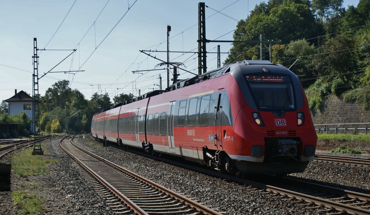 Der Franken-Thringen-Express mit 442 803 bei der Einfahrt in den Bhf.von Kronach am 28.09.13.