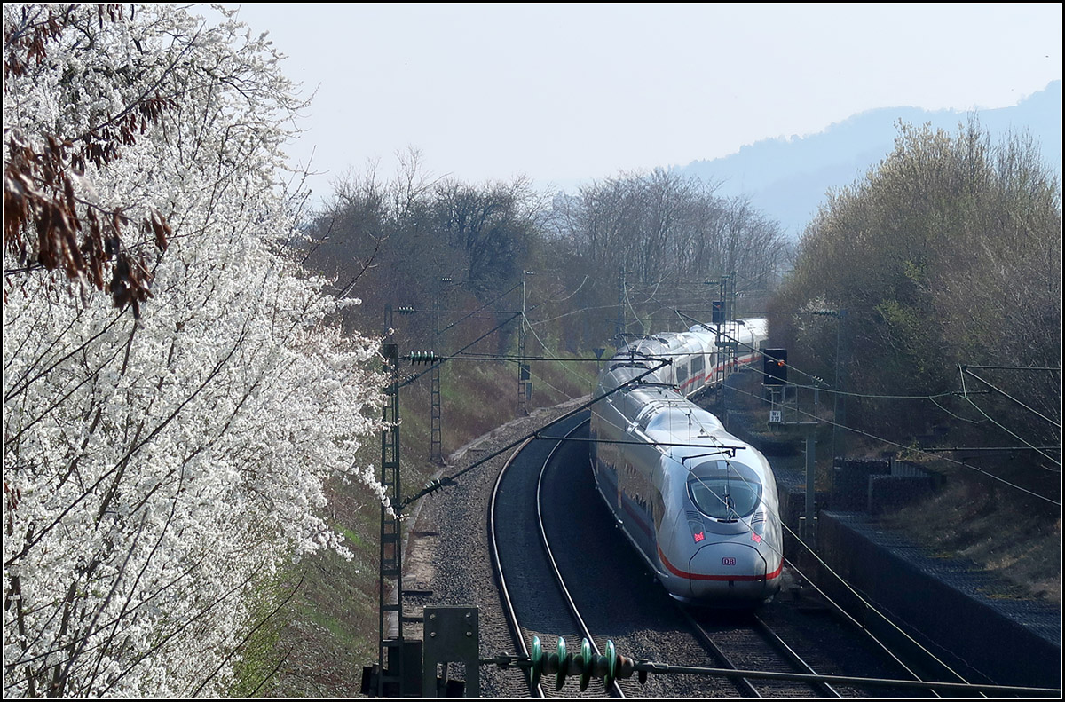 Der Frühling kommt ins Remstal und mit ihm die ICEs -

Umgeleiteter Velaro D in Fahrtrichtung München bei Kernen-Rommelshausen auf der Remsbahn.

23.03.2019 (M)