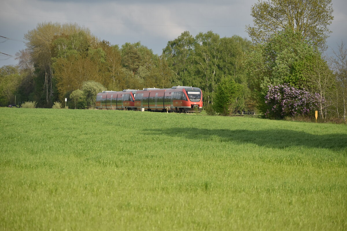 Der Frühling zieht ins Münsterland ein. Hier zwischen Gronau und Ochtrup fuhr der 643 Doppeleinheit auf der RB 64 Strecke von Münster nach Enschede.18.05.23