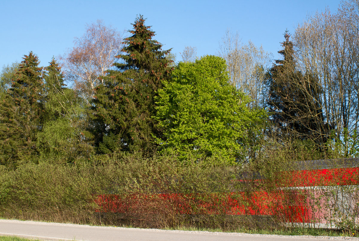 Der  Geist  einer 218 wurde am Abend des 28.04.16 bei Poing fotografiert, als er mit einem Doppelstockzug von München nach Mühldorf unterwegs war.