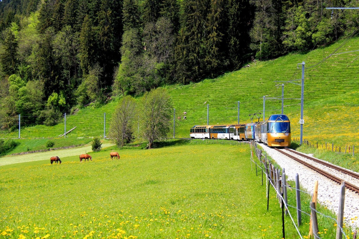 Der Golden Pass Panoramic Express mit Lok 8002 in Zugsmitte unterhalb Château d'Oex, 12.Mai 2015. 
