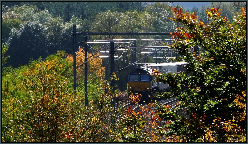 Der Goldene Oktober mit all seiner Farbvielfalt,hier im belgischen Preußwald bei
Moresnet in Belgien. Mittendrin unterwegs auf der Montzenroute ein Güterzug nach Aachen West. Passt sich die Natur nun der Farbgebung der Class 66 an ,oder ist es eher umgekehrt,Gedankenspiele die zum Experimentieren einladen. Moresnet im Okt.2013.