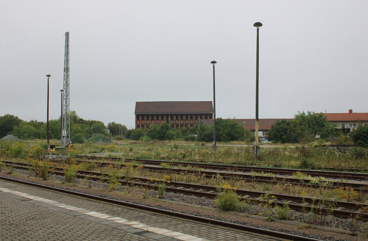 Der Güterbereich in Arnstadt Hbf am 02.09.2023. Man erkennt noch, dass hier mal eine Fahrleitung hing.