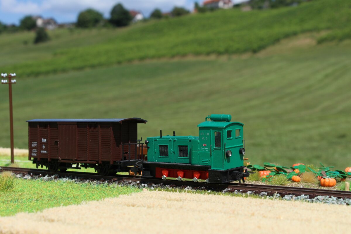 Der Güterverkehr auf der Wildbacher Lokalbahn hielt sich Dank einiger Abnehmer bis 1992.
Unter anderem der Steinbruch im Wildbachgraben, das Sägewerk Scheiber in Wildbach und ein Landwirt in Wildbachdorf sorgten doch für ein wenig Fracht auf der Schiene.
So bringt im September 1991 die VL3 einen Güterwagen als FW3 von Wildbach nach Frauental-Bad Gams.