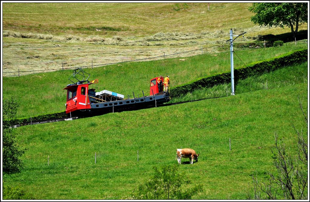 Der  Güterzug  fährt mit zwei schweren Betongewichten bergwärts. (20.05.2014)