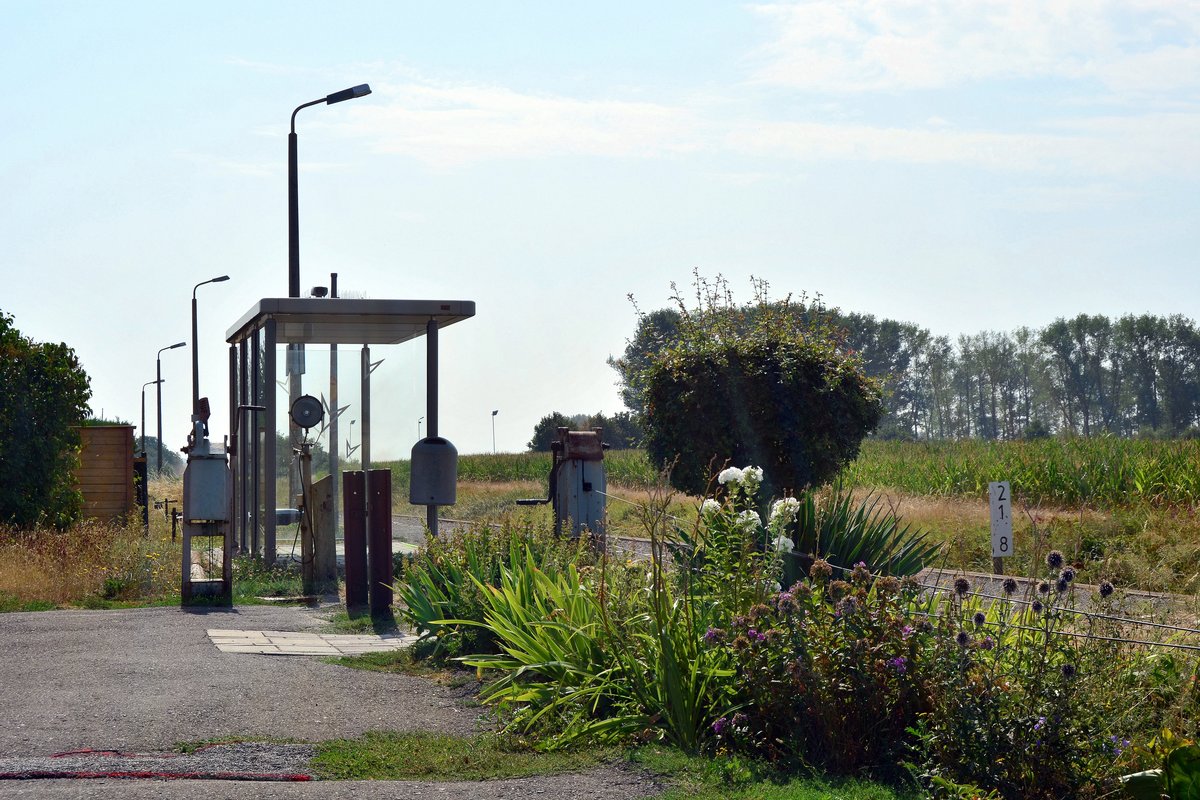 Der Haltepunkt Hohenebra Ort wirkt sehr einladend. Beim Zugang zum Bahnsteig fällt einem das Blumenbeet rechts auf um welches sich die Fahrdienstleiter vor Ort gut kümmern.

Hohenebra 09.08.2018