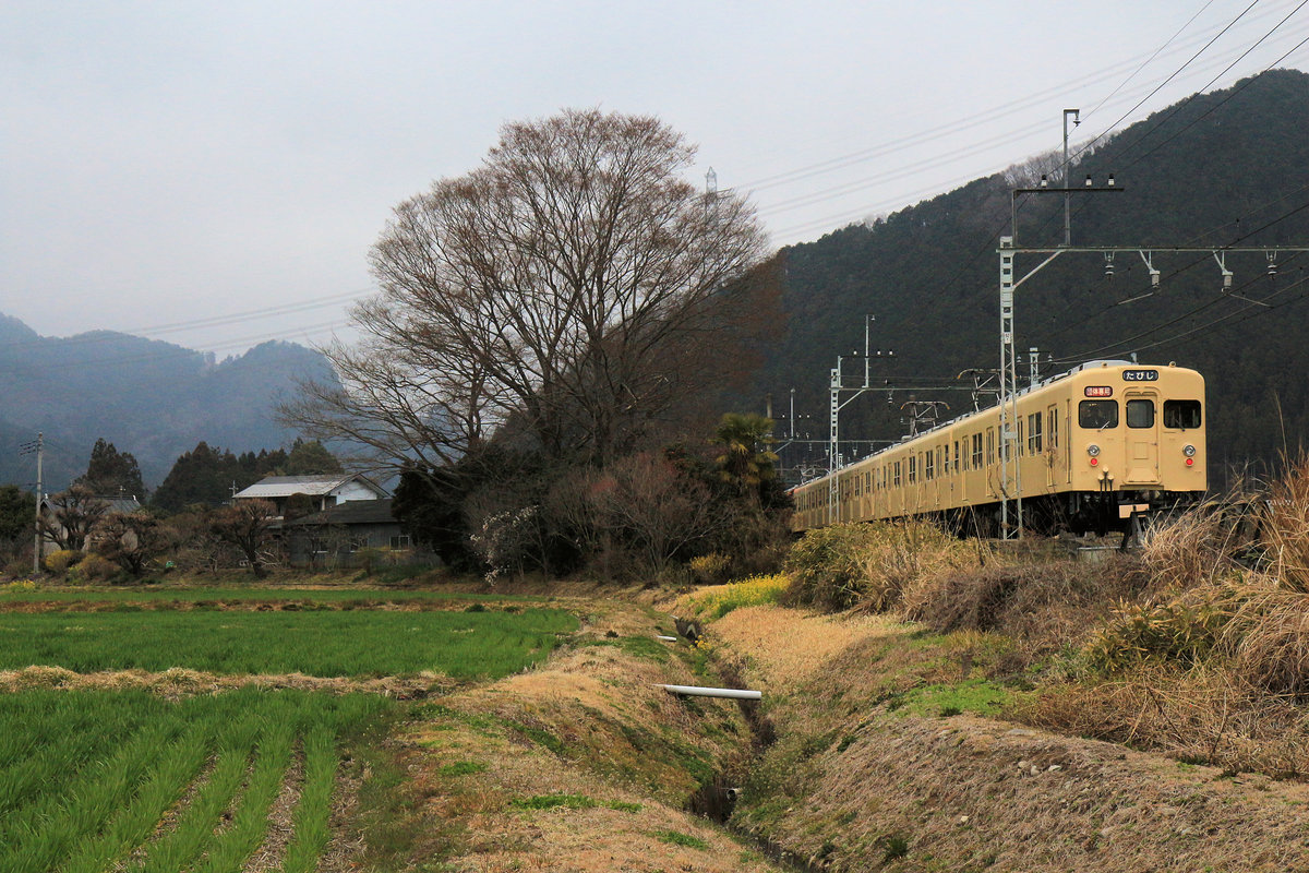 Der historische S-Bahnzug 8111 des Tôbu-Konzerns weit im Norden von Tokyo in den Bergen bei Kanuma. 30.März 2019 