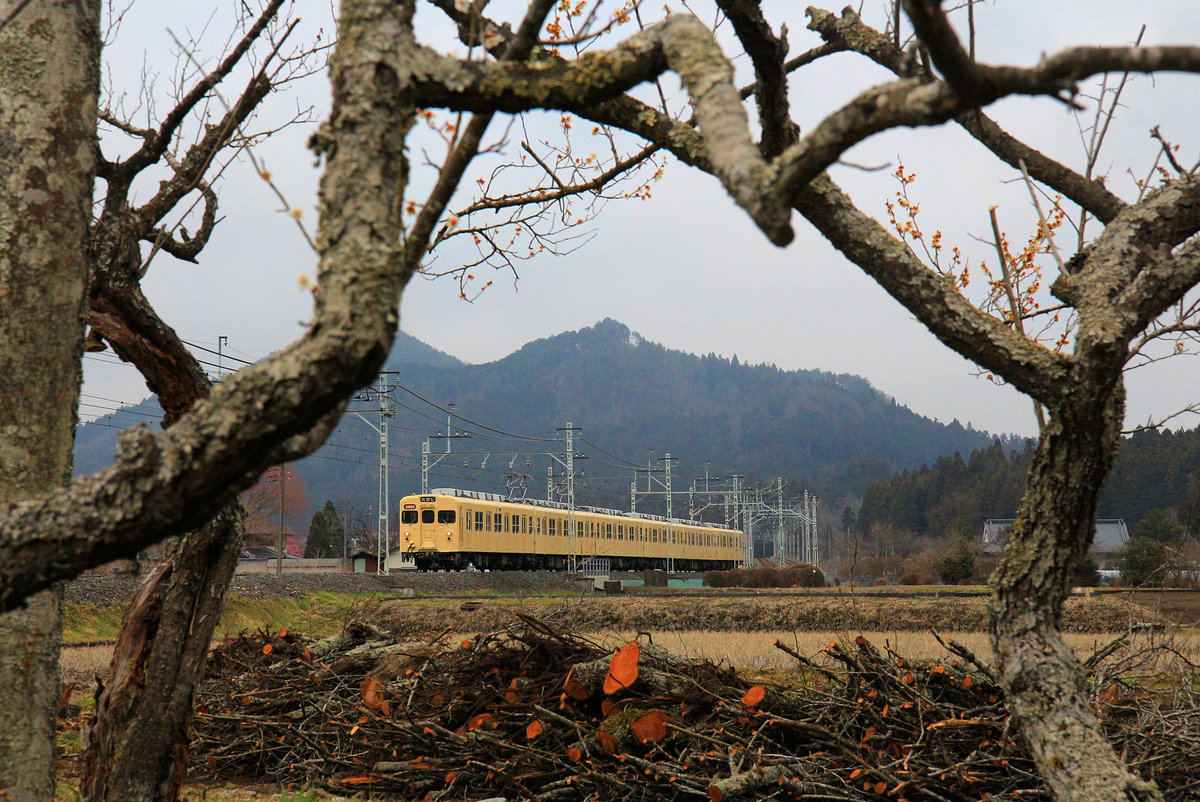 Der historische S-Bahnzug 8111 des Tôbu-Konzerns weit im Norden von Tokyo in den Bergen bei Kita Kanuma. 30.März 2019 