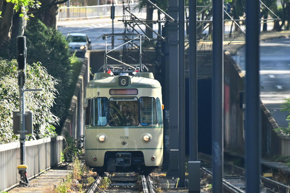 Der historische Samba-Wagen 1019 auf dem Weg zum Betriebshof West (wo heute die Veranstaltung  KVB hautnah  zwischen 12 und 18 Uhr stattfinden wird) kurz vor der Haltestelle Escher Straße am 30.06.2019.
