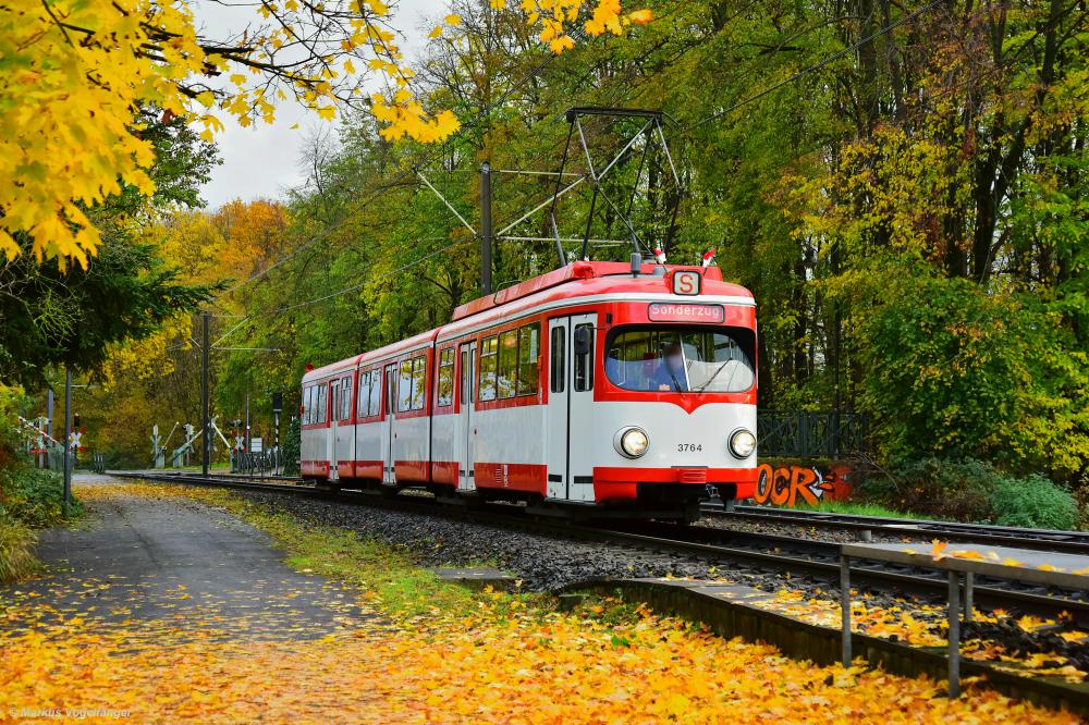 Der im Juni 1964 als 6-Achser gelieferte 3664 und im Februar 1968 zum Acht-Achser umgebaute heutige Museumswagen 3764 auf dem Weg zur Wartung nach Merheim an der Wichheimer Straße am 19.11.2019. Die 55 Jahre sind Ihm nicht anzusehen. 