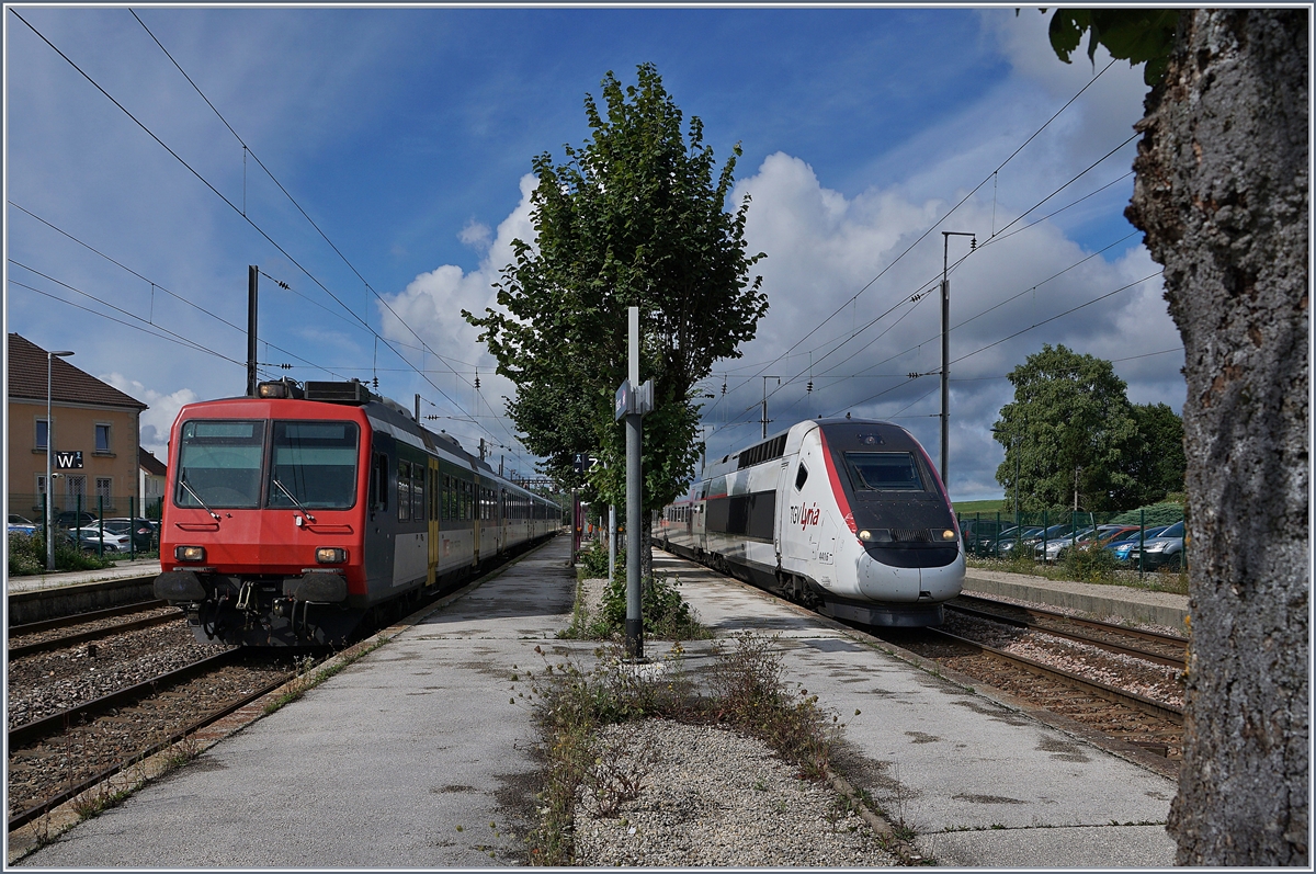 Der knorrige Baumstamm rechts im Bild hat wohl schon viele verschiedene Züge gesehen und wird auch weiterhin viele verschiedene Züge sehen, wird doch für viel Geld die Strecke Vallorbe  - Dôle erneuert. Doch diese Szene wird dem Baum nicht mehr so oft geboten: Ein TGV POS nach Lausanne vermittelt Anschluss an den SBB NPZ nach Neuchâtel. Ab dem kommenden Fahrplanwechsel verkehren bei Lyria nur noch TGV Duplex und der SBB  Colibri  wird durch einen RABe 522 ersetzt. 

Links im Bild der RE 18123 nach Neuchâtel (ab 10:53) und rechts im Bild der TGV Lyria 9261 bei der Ankunft (an 10:42) in Frasne.

13. August 2019 