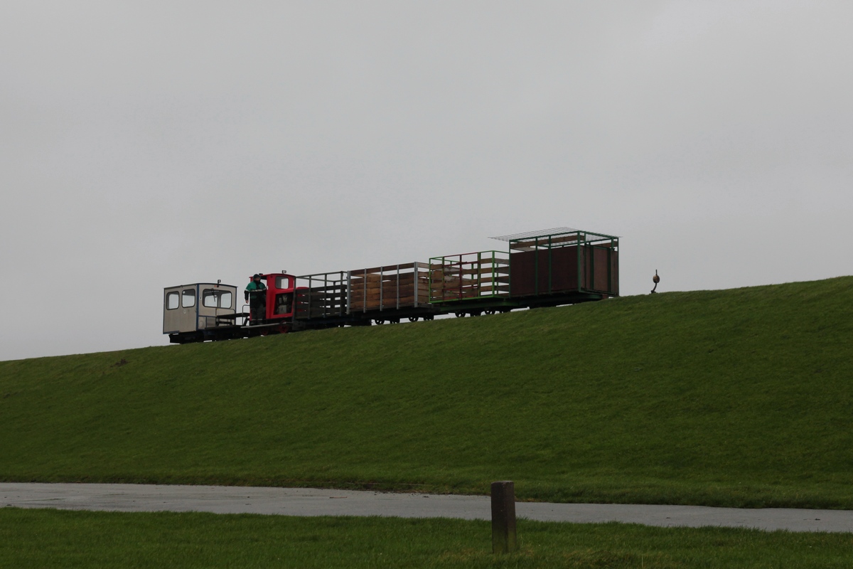 Der Leerzug fährt nach dem Umladen zum Bh des LKN-SH und wird die Schafskisten dort abstellen, hier beim Befahren der Spitzkehre auf dem Deich am Lüttmoorsiel. (16.11.2014)