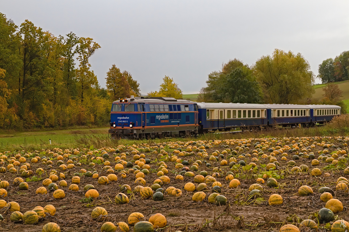 Der letzte Erlebniszug nach Ernstbrunn in der Saison 2020. Entstanden ist die Aufnahme an einem Kürbisfeld zwischen Wetzleinsdorf und Simonsfeld-Naglern. (31.10.2020)