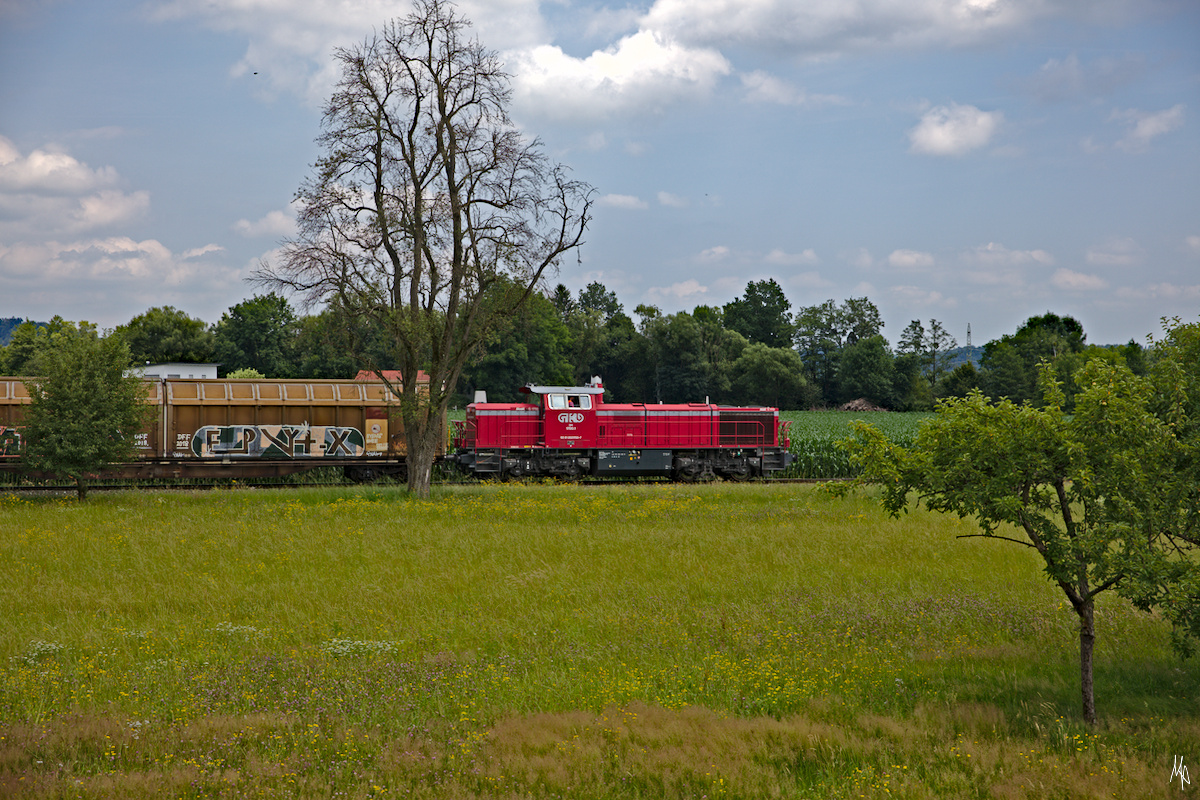 Der letzte reguläre Güterzug nach Wies-Eisbiswald am 03.07.2019!? Im Bild die DH 1700.1 zwischen Schwanberg und St. Peter im Sulmtal.
