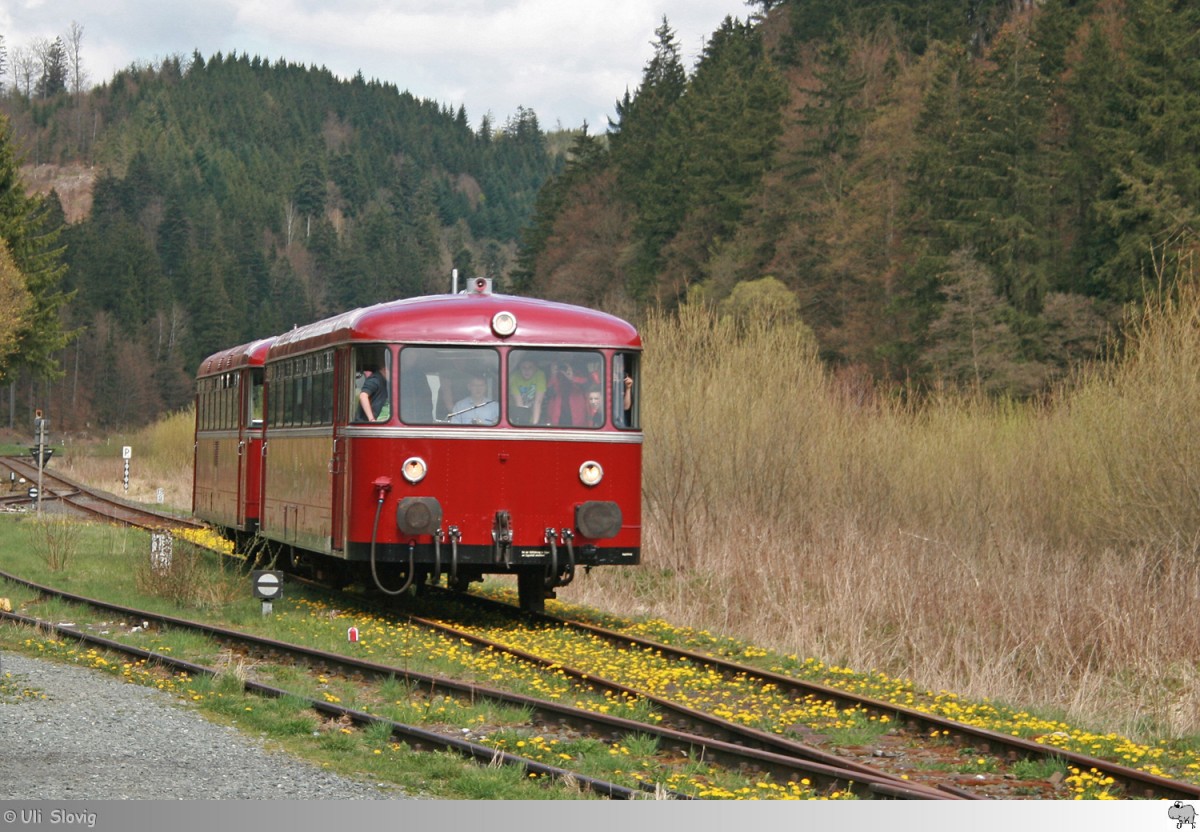 Der Löwenzahn hat am 26. April 2015 das Gleis in Mauthaus erobert. Den Triebwagen 798 731-6 mit 998 744-7 der Eisenbahnfreunde Rodachtalbahn stört das nicht auf seiner Fahrt Richtung Steinwiesen.