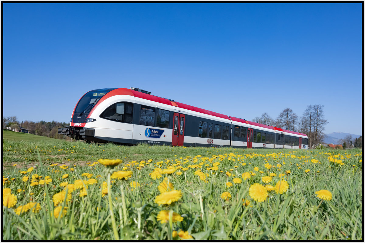 Der Löwenzahn kommt alle Jahre ,.... 

Und jedes Jahr hat man das Gefühl das es mehr und mehr wird. 
Freidorf im Sulmtal 24.04.2021

