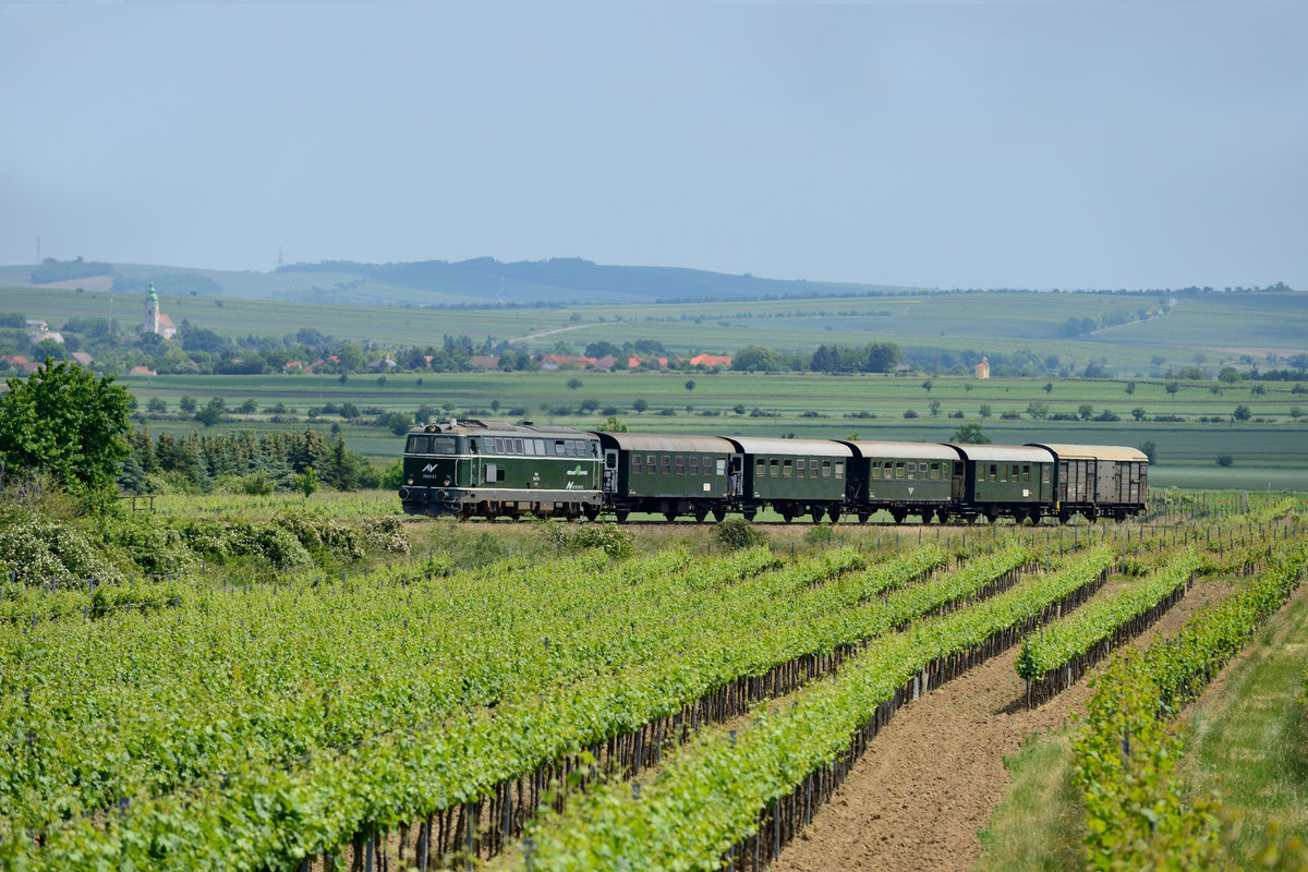 Der mittägliche Reblaus-Express 16972 nach Drosendorf konnte in den Weinbergen bei Retz fotografiert werden. Weit geht hier der Blick über's Weinviertel, im Hintergrund erkennt man die Ortschaft Niederretzbach (04. Juni 2015).