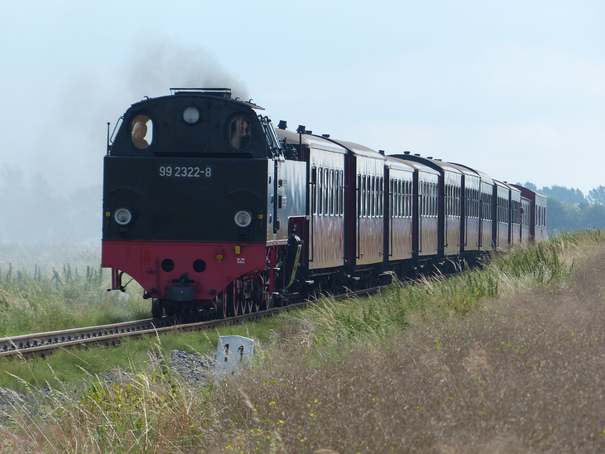 Der Molli hat am 30.7.2016 mit Verspätung zu kämpfen. Bei hohem Fahrgastaufkommen verzögert sich durch den Fahrkartenverkauf die Abfahrt, was dann aufgrund enger Takte und eingleisiger Strecken offenbar nicht mehr ausgeglichen werden kann. Mit etwa +15 Minuten saust er hier kurz vor Kühlungsborn an mir vorbei. 30.7.2016