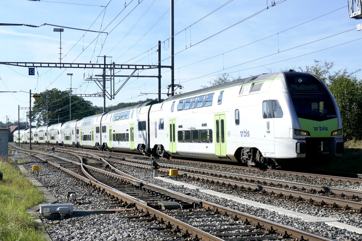 Der Mutz RABe 515 014  Interlaken  und 010 am 4.9.23 als Dienstzug Richtung Benr am 4.9.23 kurz vor dem Bahnhof Schmitten.