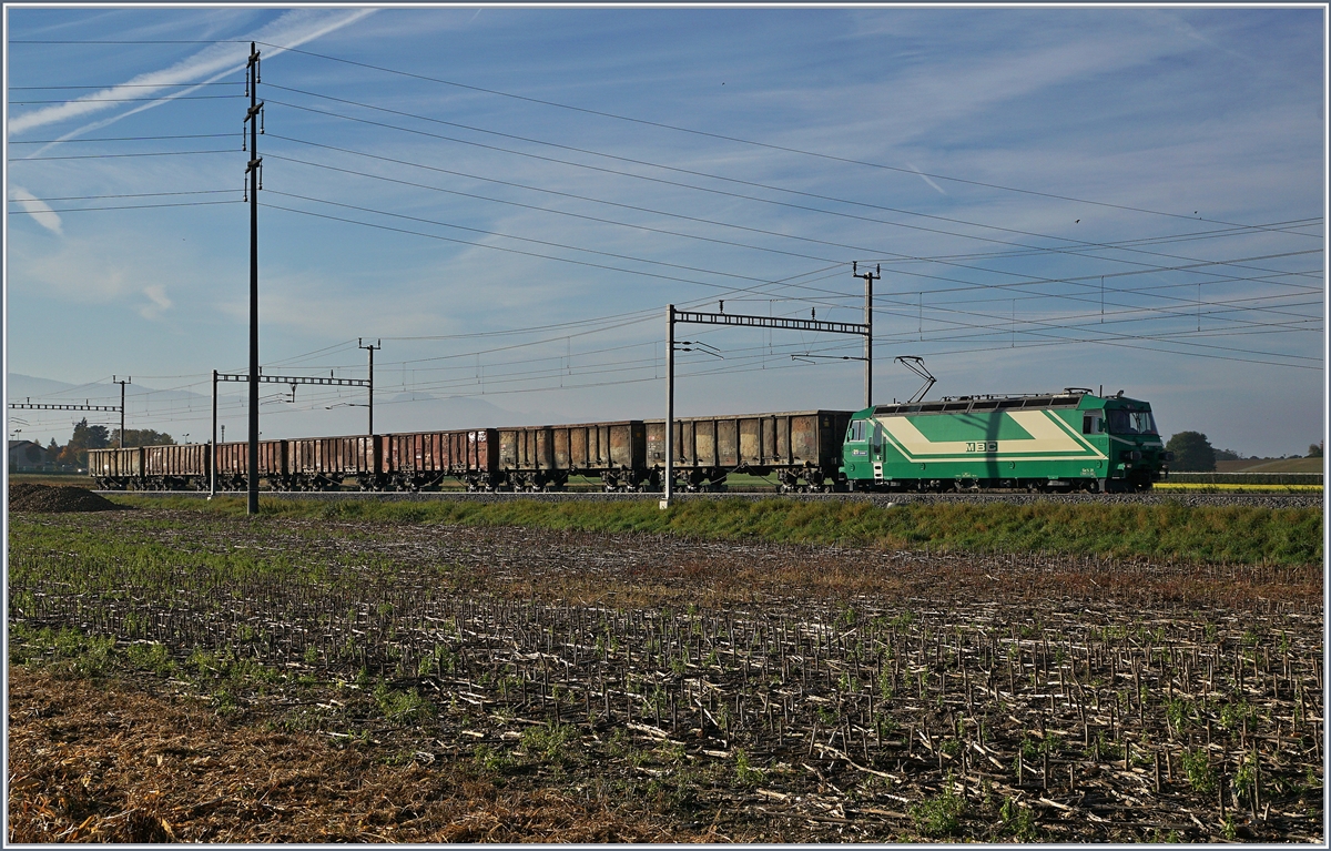 Der nach Reverolle (via Apples) fahrende leere Zuckerrübenzug mit der BAM MBC Ge 4/4 21 wartet in Chigny einen Gegenzug ab.
17. Okt. 2017