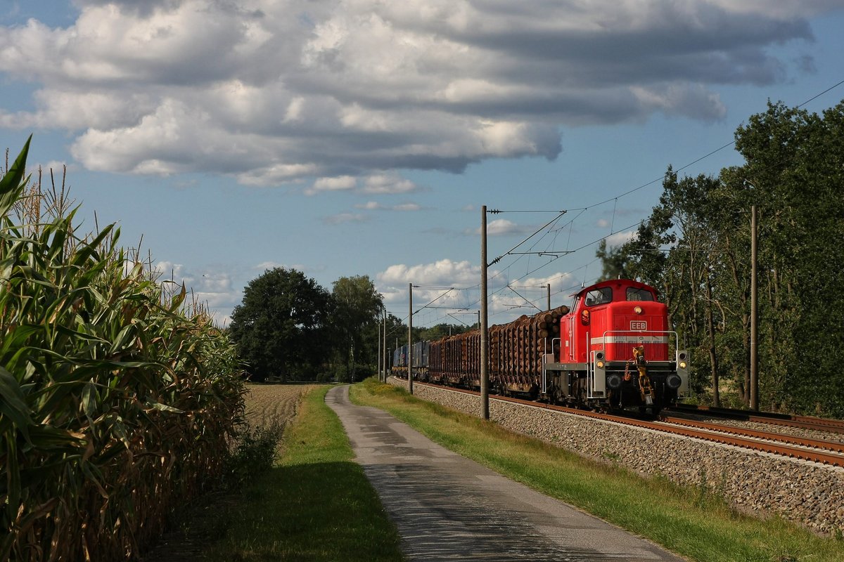 Der Neuzugang der Emsländischen Eisenbahn in Form der 295 003 bespannte am 1.September 2020 den bis auf Mittwoch werktäglich verkehrenden Müllzug von Dörpen nach Salzbergen. An jenem Tag waren außerdem noch einige Holzwagen aus Meppen eingereiht. Ich fotografierte den Zug bei Emsbüren-Leschede.
