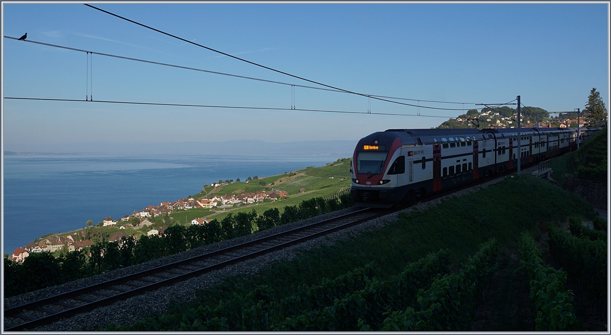 Der noch im Morgenschatten nach Vevey fahrende RE 511 105 macht das Landschaftsbild zum Bahnbild, der Vogel links im Bild auf der Fahrleitung gar zum Tierbild...
Sommerfahrplan 2018: Der RE 30108 von Fribourg nach Genève kurz nach Chexbres.
27. Juli 2018