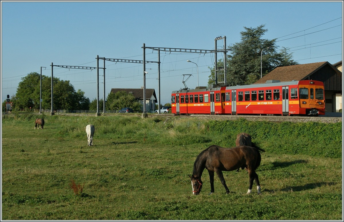 Der NStCM Regionalzug 215 beim Halt in Trlex.
28. August 2013