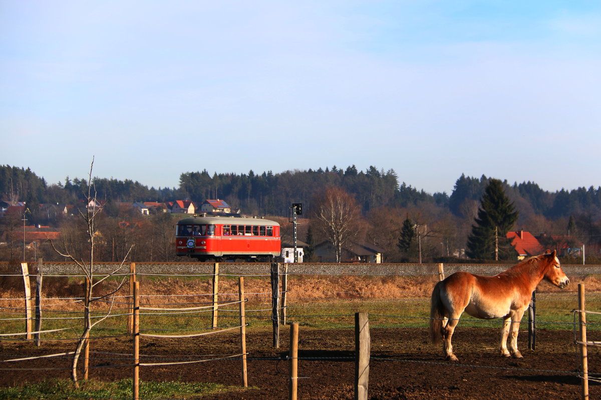 Der Pferd : 

Der Pferd steht mit vier Haxen auf da Erd , wal wenn er net vier Haxen hätt , der Pferd umfolln tät. 

Private Sonderfahrt mit VT 10.02 am vergangenen Samstag ( 10.12.2016) 