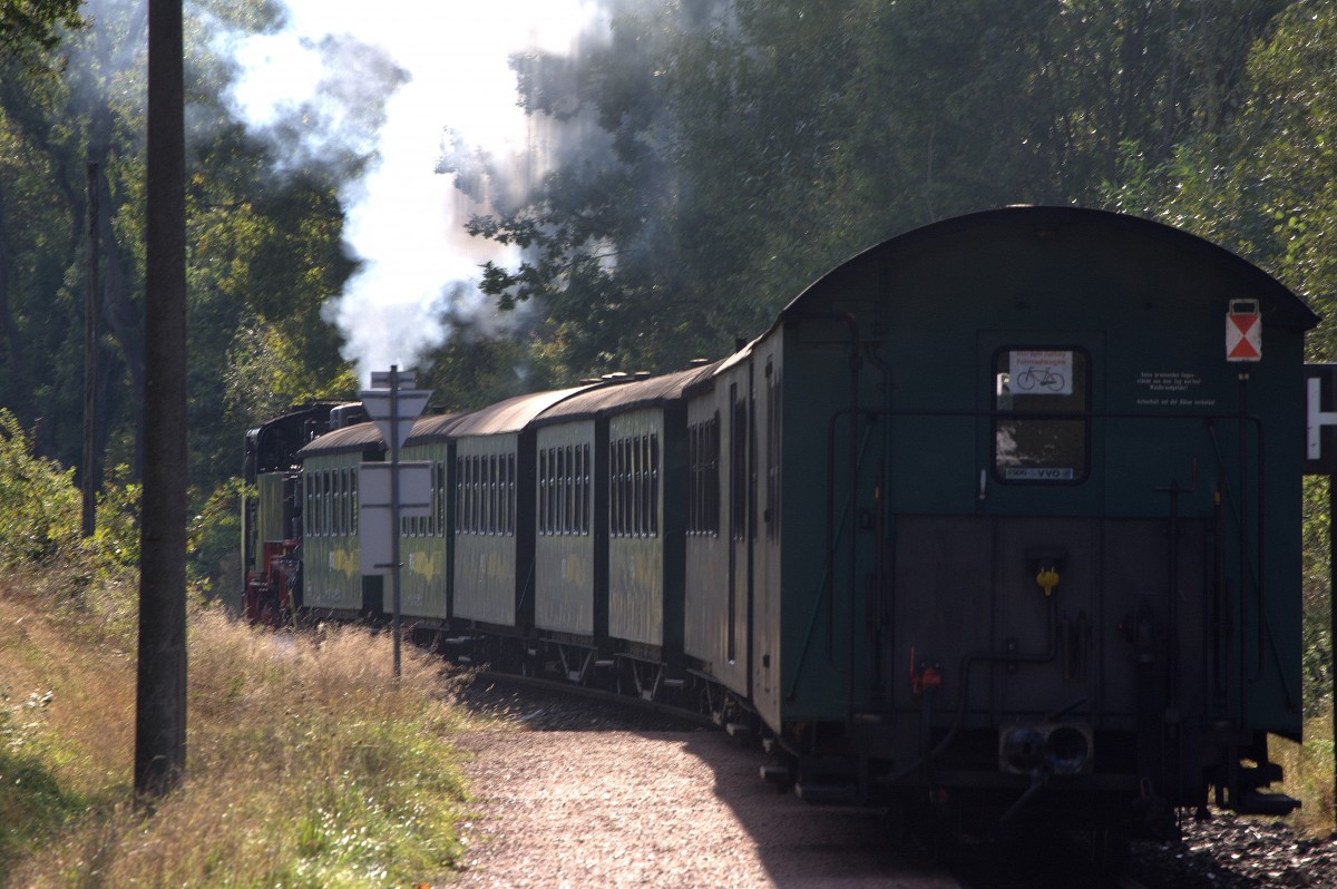 Der planm��ige Zug um 16:01 Uhr aus Radeburg bei der Ausfahrt  in B�rnsdorf.
02.10.2013
