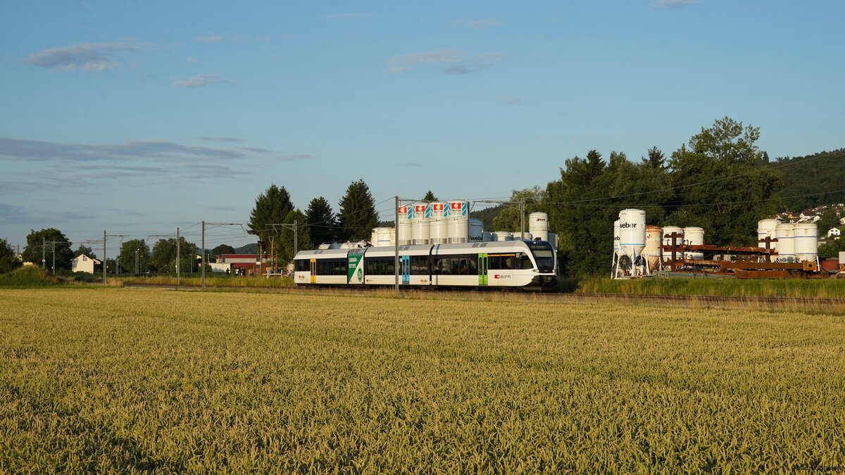 Der RABe 526 802 fährt als S30 8080 von Weinfelden nach Winterthur, hier zwischen Felben-Wellhausen und Frauenfeld