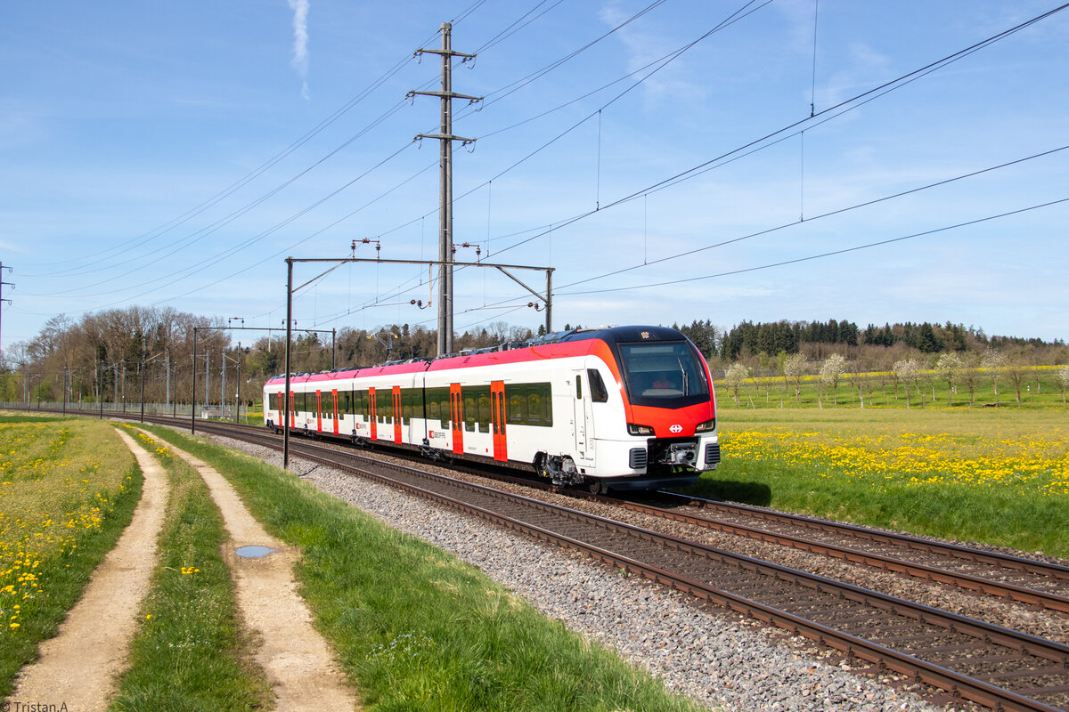 Der RABe 531 001 auf Testfahrt zwischen Sulgen und Romanshorn. Der RABe 531 ist der neuste Zug der SBB-Flotte. Erlen, 5.4.2024