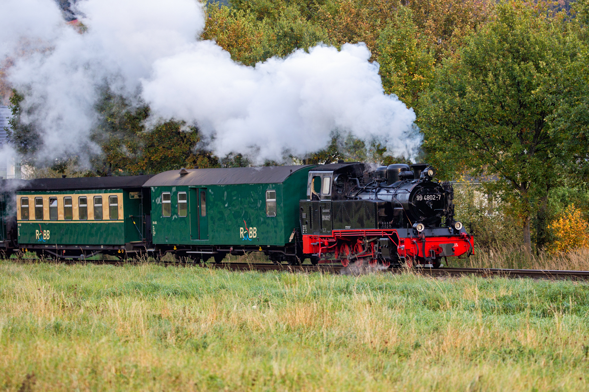 Der Rasende Roland mit der Lok 99 4802 in leicht herbstlicher Landschaft bei Binz. - 25.10.2021