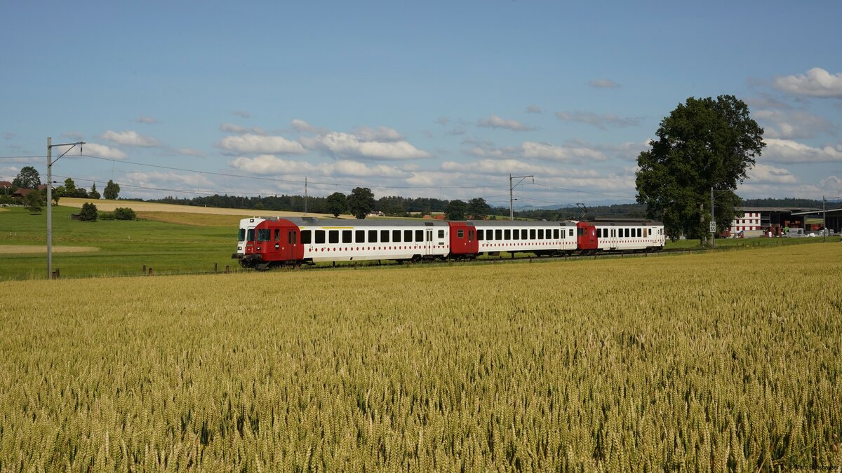 Der RDBe 567 171 mit dem führenden ABt 371 fahren als S21 14662 von Fribourg nach Ins, hier zwischen Cressier FR und Munchenwiler-Courgeveaux.