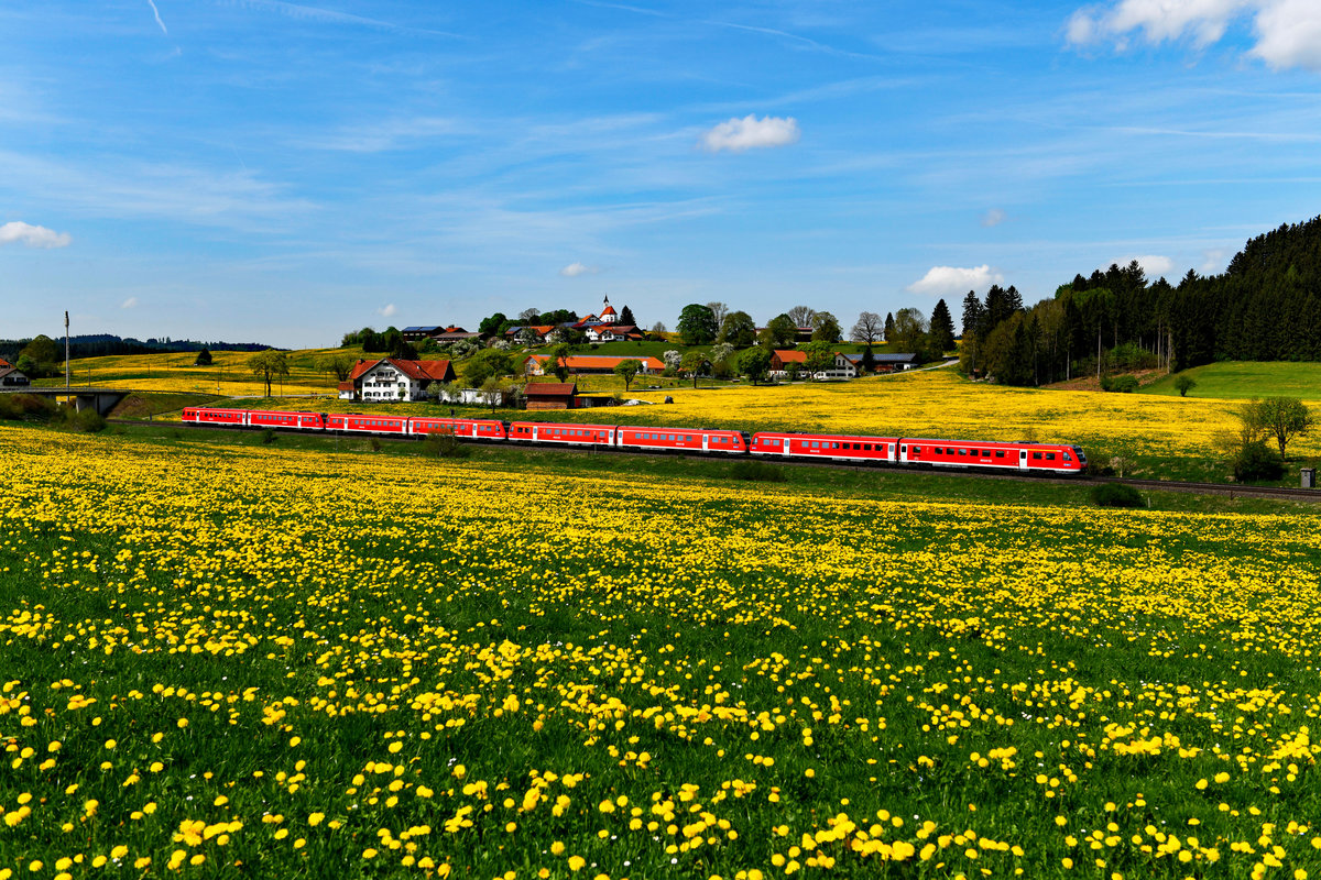 Der RE 57591 von Kempten nach München HBF wird als Vierfachtraktion geführt. Am 25. April 2018 konnte ich 612 087 und drei seiner Artgenossen bei ihrer Fahrt durch das blühende Ostallgäu dokumentieren. Im Hintergrund die Ortschaft Görwangs mit der Wallfahrtskirche St. Alban. 